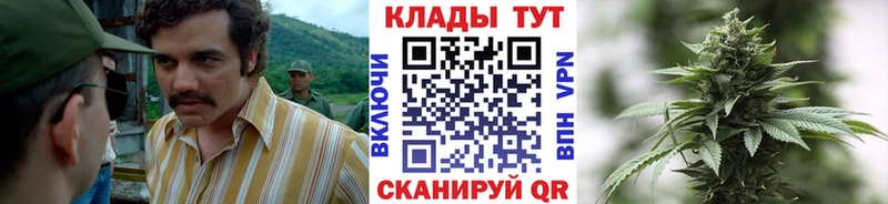Какие есть наркотики Мариинский Посад ГАШИШ  СК  МЕФ 