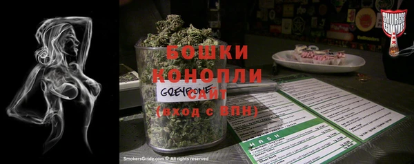эйфоретик Дубна