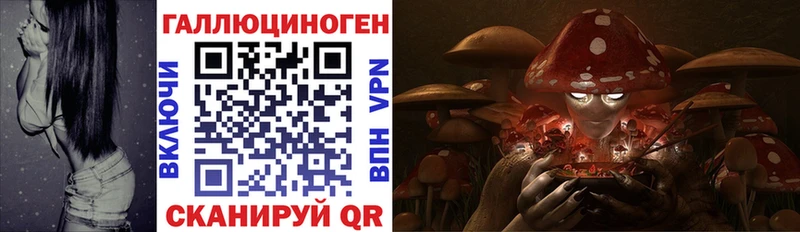 Псилоцибиновые грибы мицелий Мариинский Посад